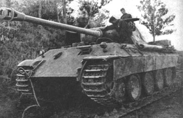 PantherG-15.jpg