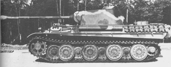 PantherG-9.jpg