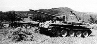 PantherD-10.jpg (20695 Byte)