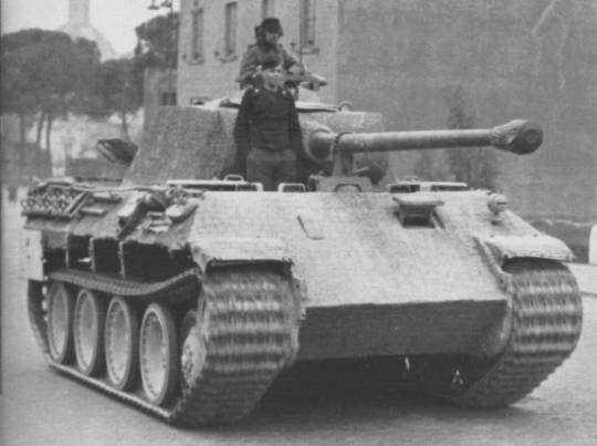 PantherD-3.jpg (35759 Byte)