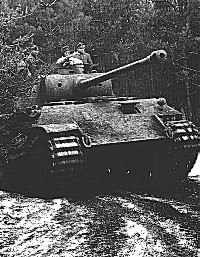 PantherD-5.jpg (29391 Byte)