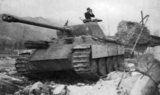 PantherD-6.jpg (19287 Byte)