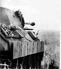 PantherD-8.jpg (18952 Byte)