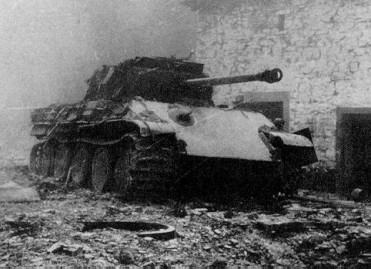 PantherG-1.jpg (37919 Byte)