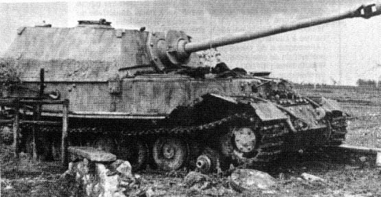 Ferdinand-5.jpg (75525 Byte)