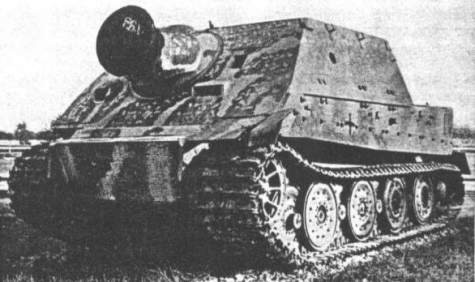 Tiger-Sturm-2.jpg (38331 Byte)