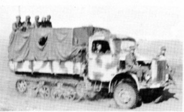 Maultier-1.jpg (18664 Byte)