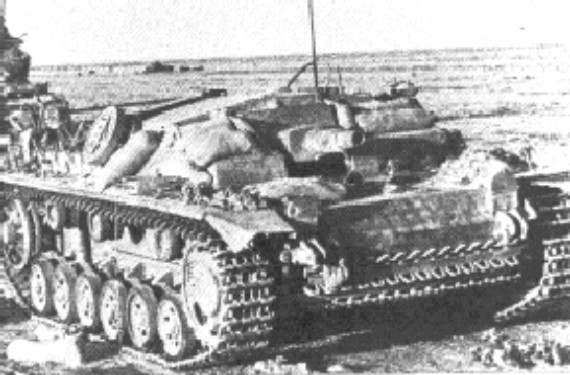 stug3D-2.jpg (63773 Byte)