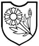 ss-22.jpg (6985 Byte)