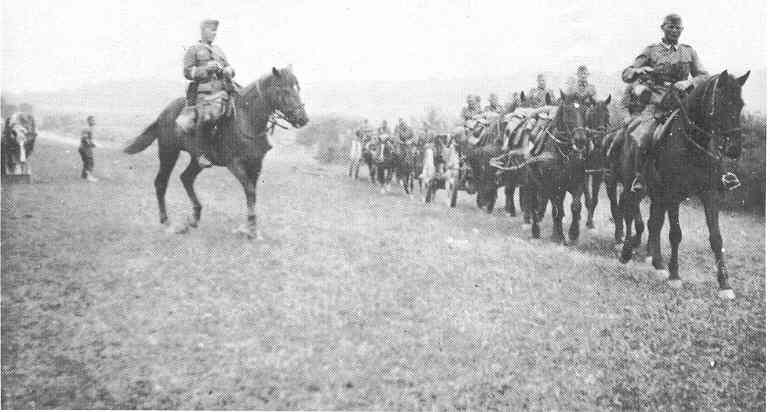 75ID-2.jpg (28028 Byte)