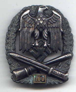 AllgemeinesSturmabzeichen100.jpg (16810 Byte)
